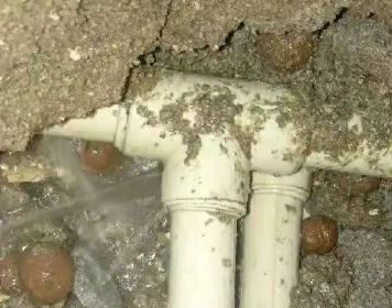 黄龙测漏水多少钱