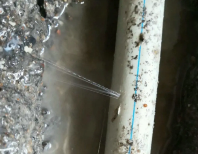 黄龙测漏水哪家好