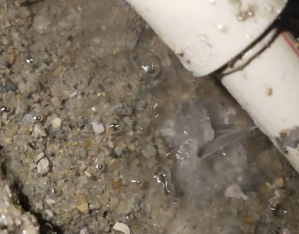 黄龙测漏水电话号码