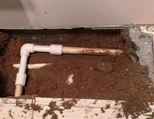 黄龙测漏水哪家好