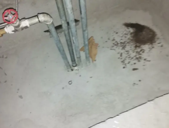 黄龙卫生间测漏水价格明细