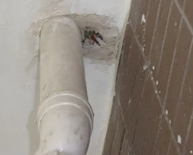 黄龙漏水检测哪家好